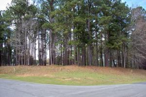 1261 WESTCHESTER DRIVE Lot 1177