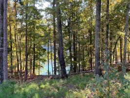 1041 NEARY RIDGE Lot 206