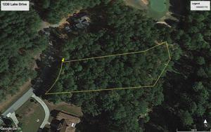1230 LAKE DRIVE Lot 229