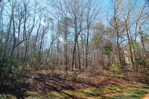 Lot 58 BROADLANDS DRIVE