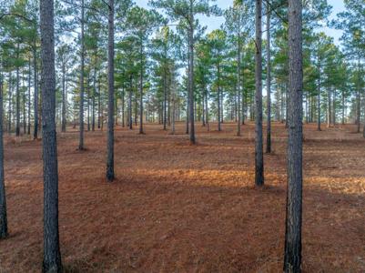 163 OVERLOOK DRIVE Lot 10