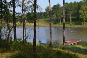 138 OVERLOOK DRIVE Lot 4