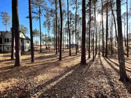1160 LONG COVE DRIVE Lot 106