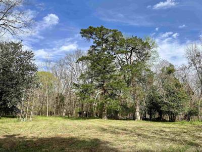 119.40 Acres COPELAN FARM ROAD Lot C, D, & E