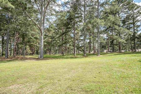 Lot 19 L MC GEHEES TRAIL