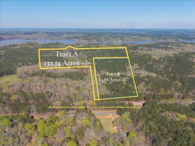 198 Acres APALACHEE WOODS TRAIL