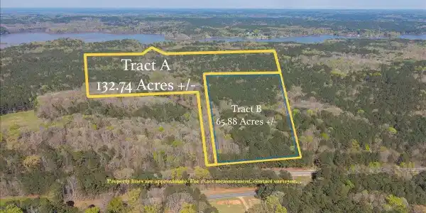 198 Acres APALACHEE WOODS TRAIL