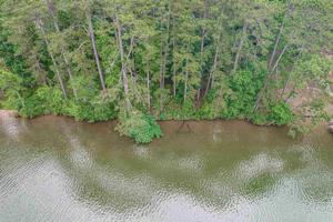 Lot 12 SHAGBARK POINTE DRIVE Lot 11