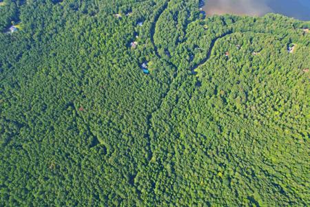 198.62 +/- AC APALACHEE WOODS TRAIL Lot NA