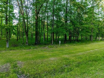 Lot 65 PARKS FERRY DR