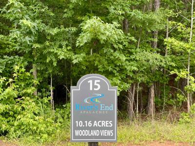 1080 APALACHEE RIDGE Lot 15
