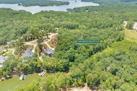 1100 HIGH BLUFF LANE