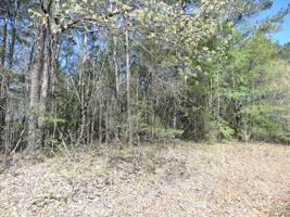 lot 4 ELLMAN DRIVE