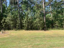 1111 SCULL SHOALS DRIVE Lot 12