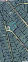 0 DIANTHUS DR Lot 15