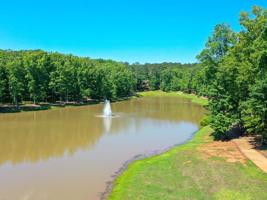 1071 HOLTS FERRY Lot 132