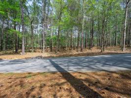 2721 PARROTS POINTE ROAD Lot 119