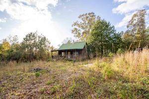 1431 CAREY STATION ROAD Lot 77 ac