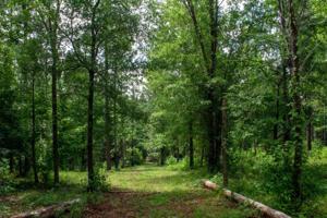 157 OVERLOOK DRIVE Lot 11