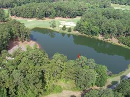 1060 DAVISON DRIVE Lot 50