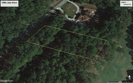 1260 LAKE DRIVE Lot 232
