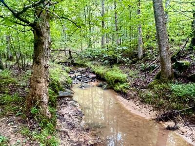 7 APALACHEE MEADOWS DRIVE
