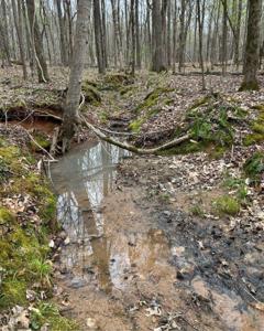 0 APALACHEE WOODS TRAIL Lot 44