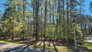 1001 CHARLES COURT Lot 90