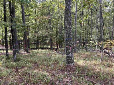 1041 YAZOO FISHERY Lot 109