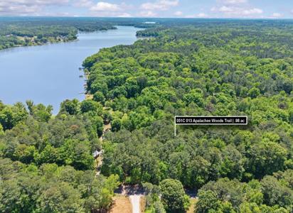 Lot 19 APALACHEE WOODS TRAIL