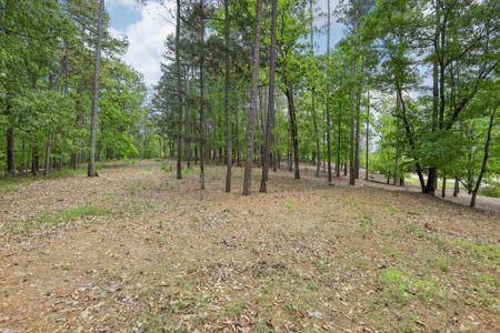 2471 LINGER LONGER DRIVE Lot 124