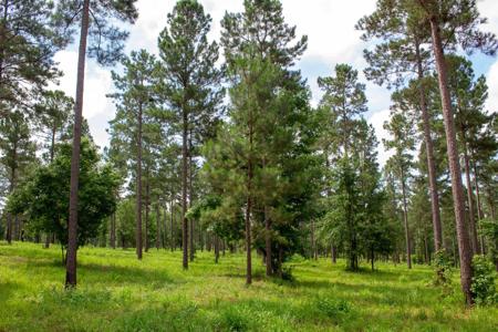 117 OVERLOOK DRIVE Lot 13