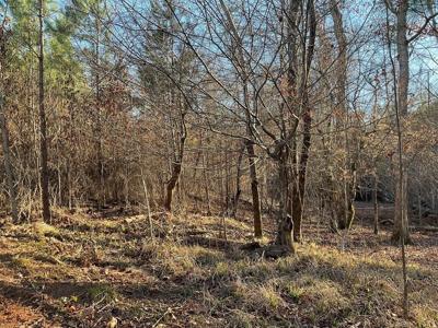 313 W LAKEVIEW DRIVE Lot n/a