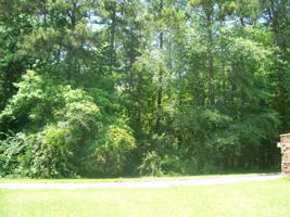 Lot 6 LONG SHOALS AVENUE