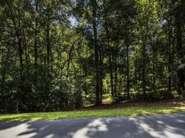 1880 GARNERS FERRY Lot 17
