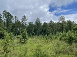 0 SCUFFLEBORO ROAD Lot 152