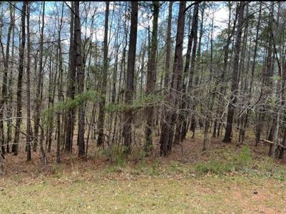 113 REGINA Lot 12
