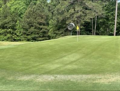 1201 MAPLE RIDGE WAY Lot 60