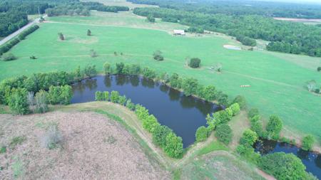 317 GREENSBORO HIGHWAY