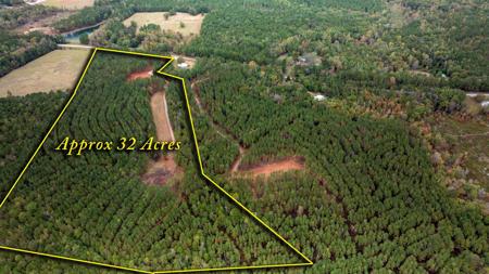 1231 LANIER ROAD