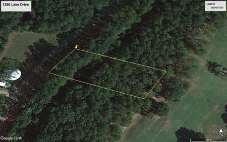 1290 LAKE DRIVE Lot 235