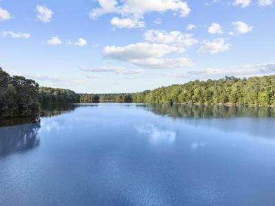 1060 RIDGE GROVE Lot 54