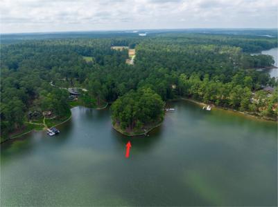 1301 ROCK FALL LOOP Lot 36