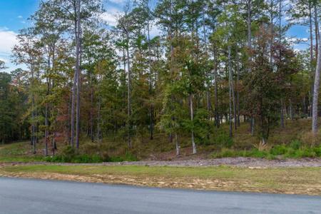 1423 NIGHT HERON DRIVE Lot 62