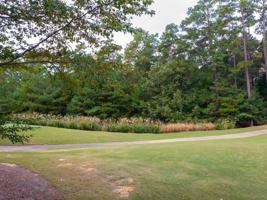 1261 LINGER LONGER DRIVE Lot 20