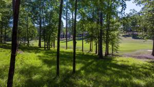 1011 CRESTWOOD LOOP Lot 12