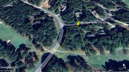 1001 OAK VALLEY Lot 1253