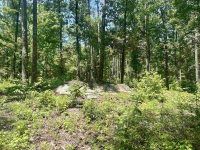 1020 STONERIDGE CIRCLE Lot 40