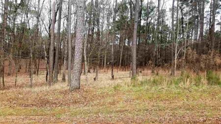 2211 OSPREY POYNTE Lot 13