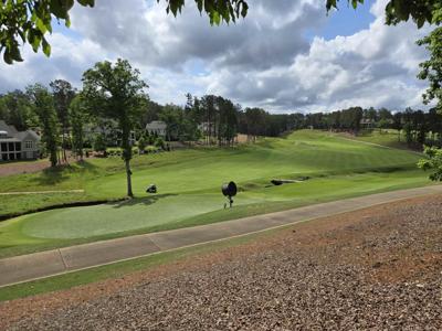 1010 BUNKER BEND